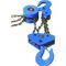 Construction Manual Crane Chain Block Hoist Hand Chain Hoist 1.5M chain